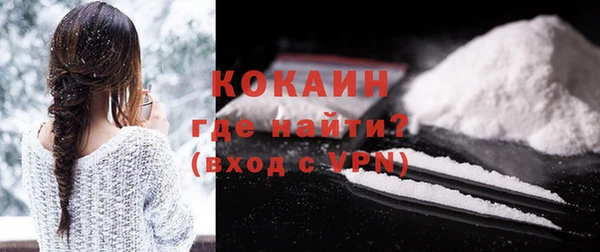 сатива Арсеньев