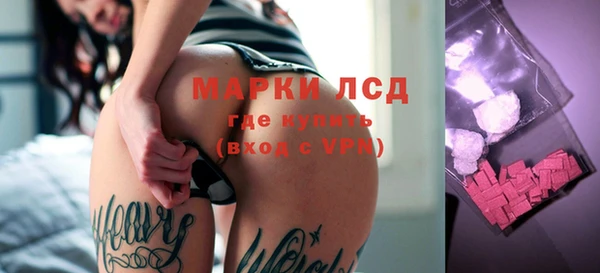 сатива Баксан