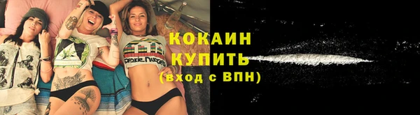 сатива Арсеньев