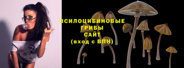 сатива Баксан