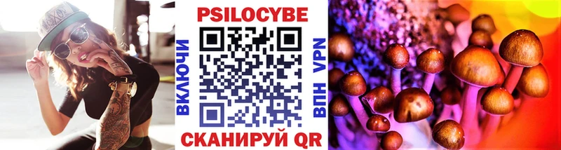 Псилоцибиновые грибы Psilocybe  где купить наркоту  Петухово 
